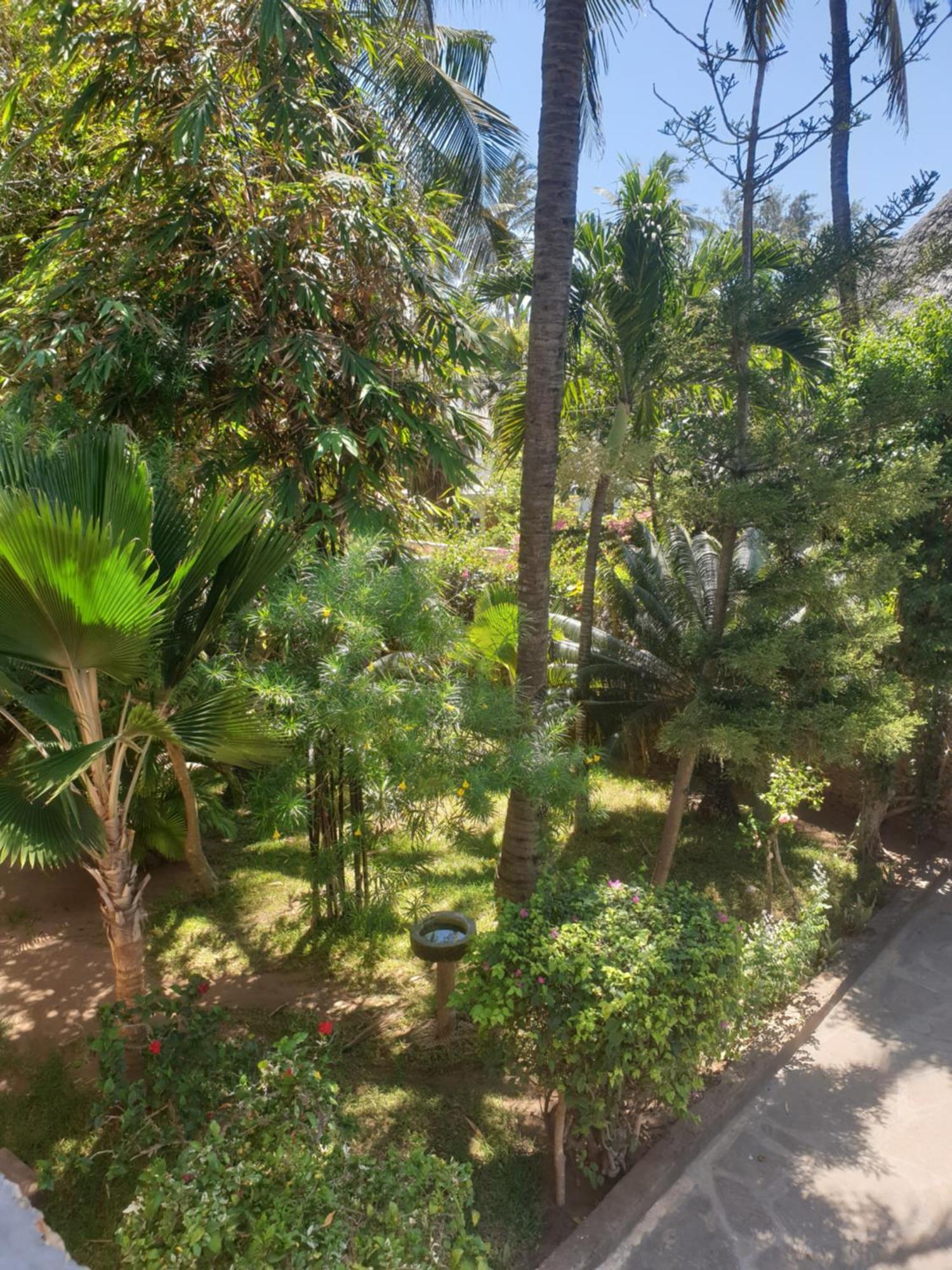 Marijani Holiday Resort Watamu Dış mekan fotoğraf