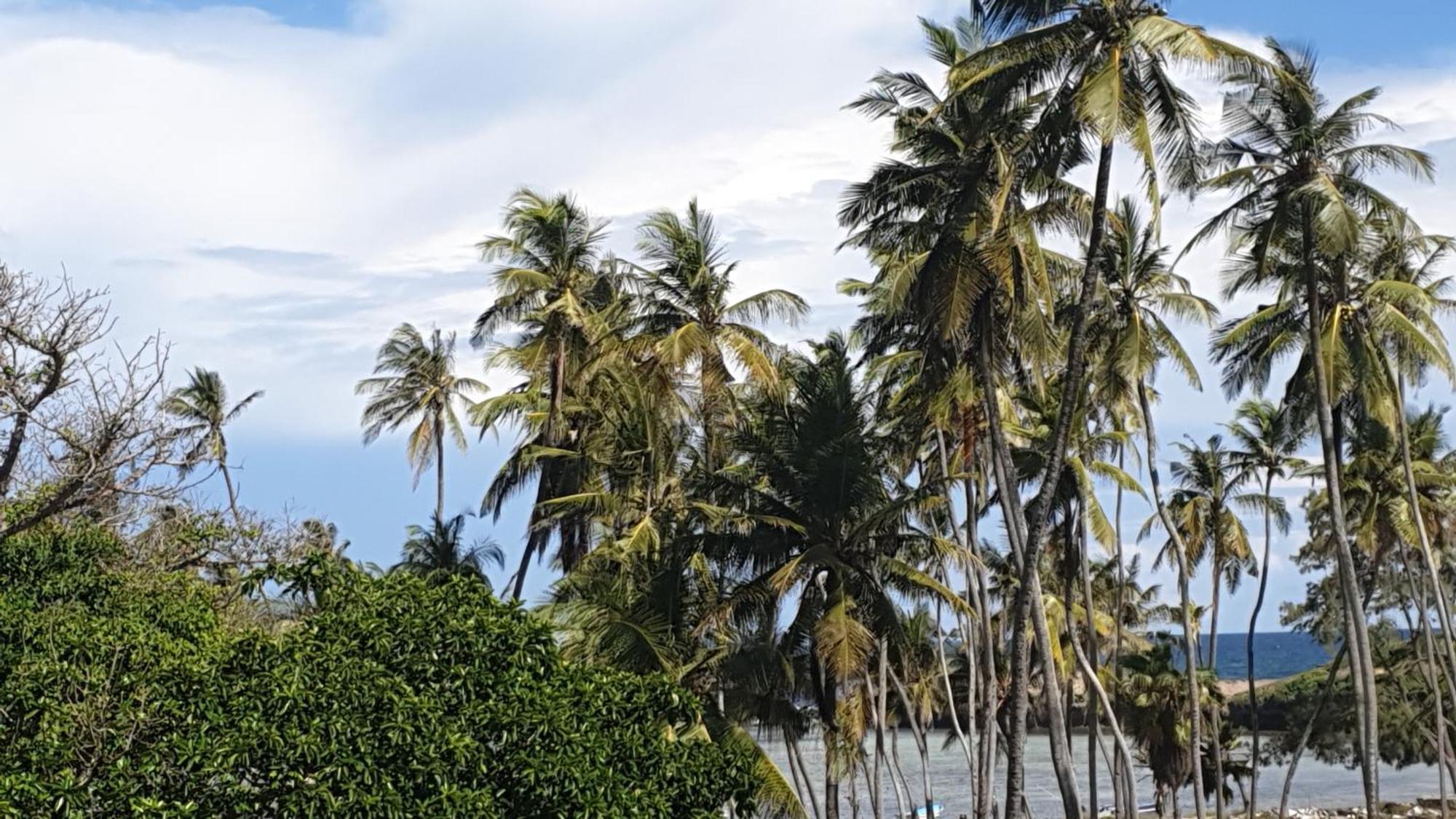 Marijani Holiday Resort Watamu Dış mekan fotoğraf